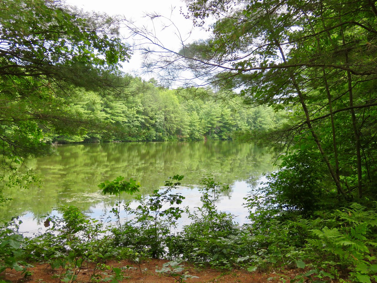 Winds of Destiny RVLife A Hike at Verona Beach State Park, 7/19/2017